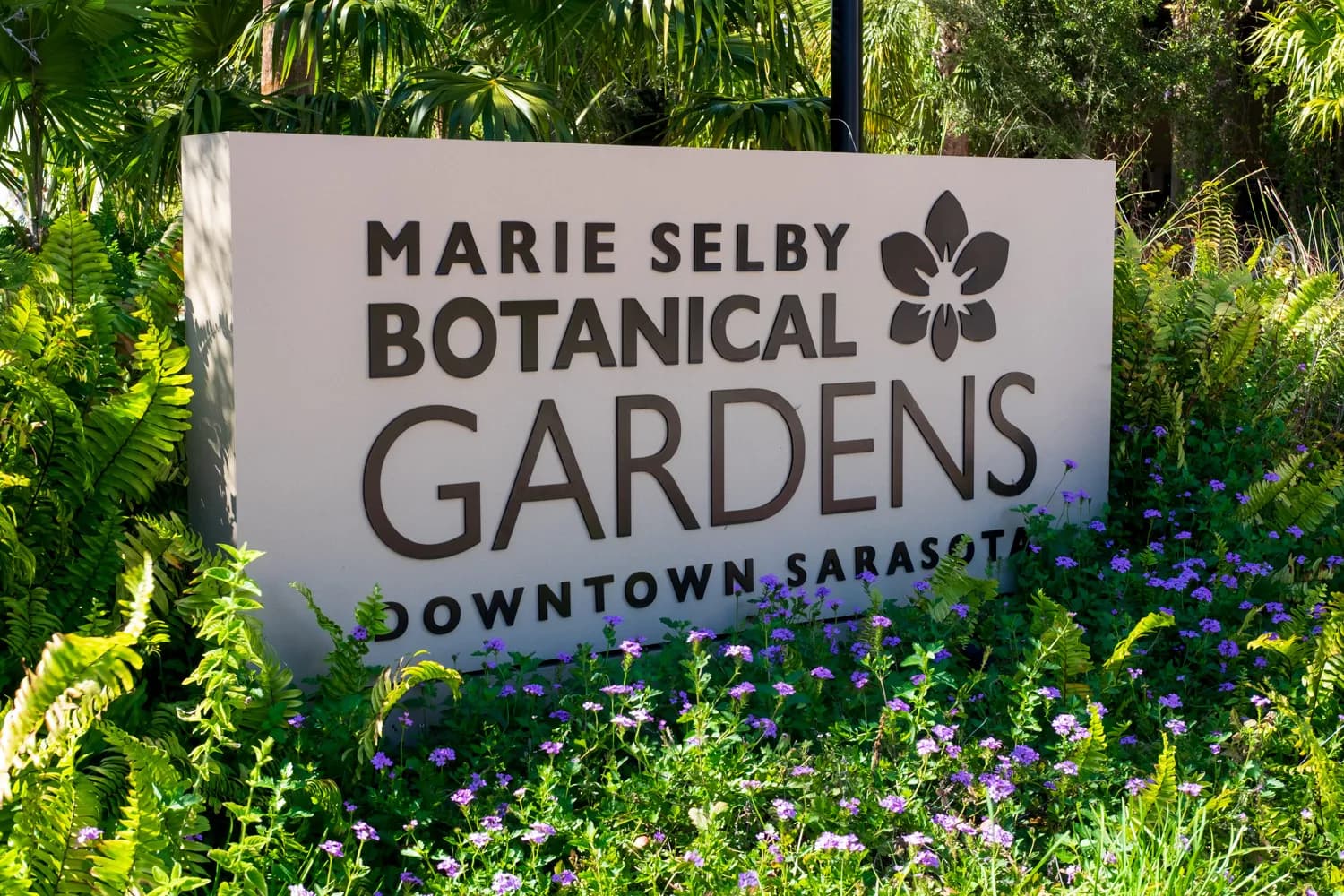 Marie Selby Botanical Gardens venue photo