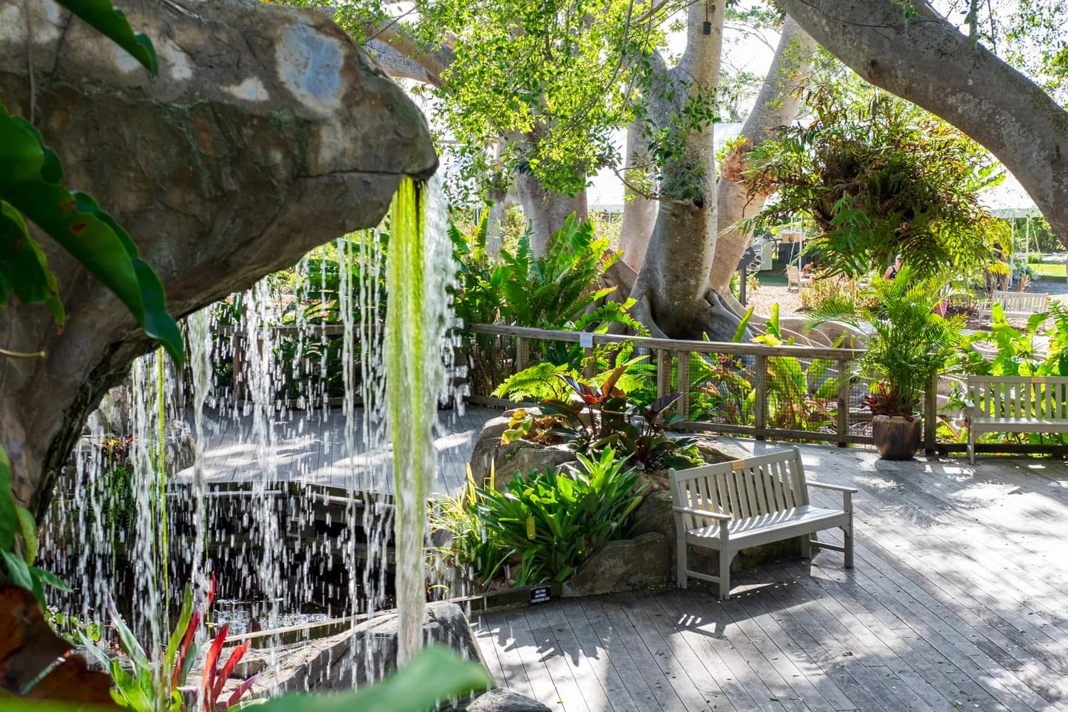 Marie Selby Botanical Gardens